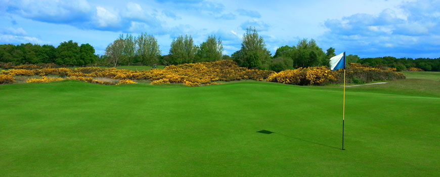 Lakeland and Parkland Course at The Dorset Golf Country Club and Resort Image