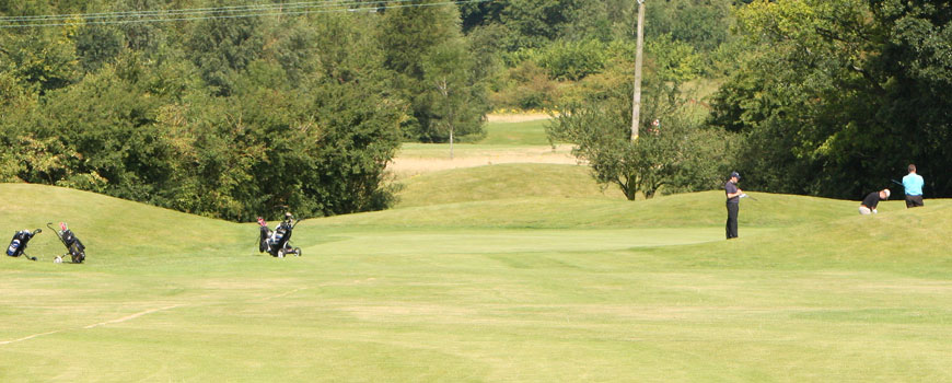 Dummer Golf Club