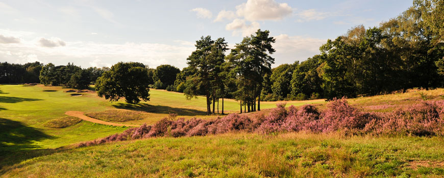 Purdis Heath Course Course at Ipswich Golf Club Image