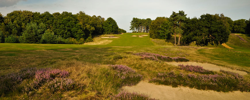Purdis Heath Course Course at Ipswich Golf Club Image