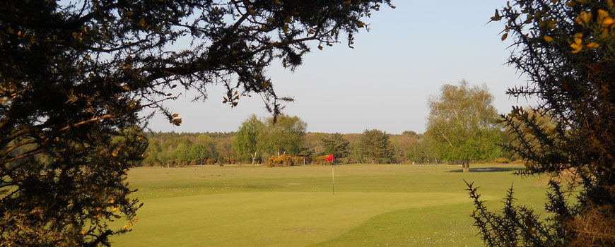 New Forest Golf Club
