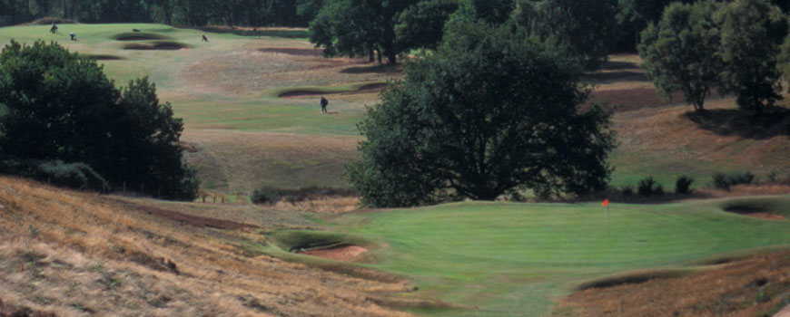 Notts (Hollinwell) Golf Club