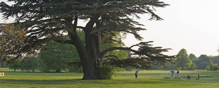 Royal Mid-Surrey Golf Club