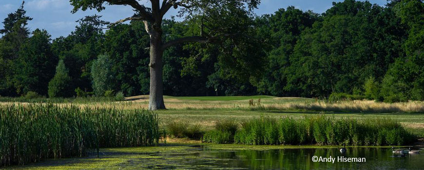 Waterloo Course Course at Sherfield Oaks Golf Club Image