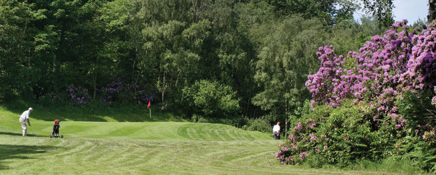 Swindon Golf Club (Staffordshire)