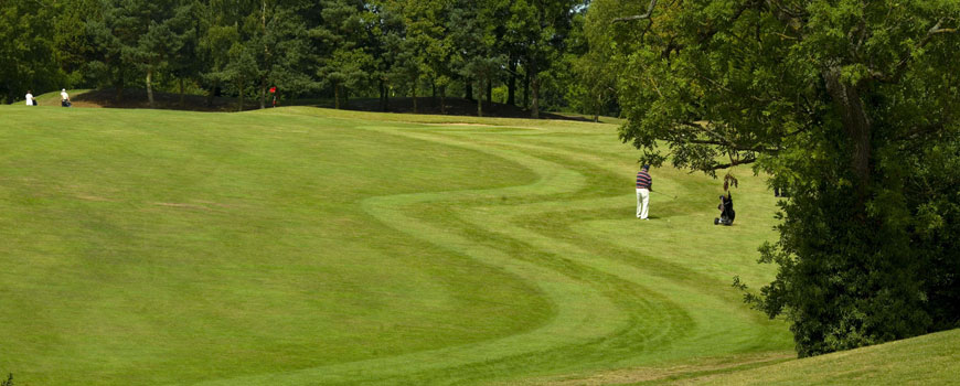 Q Hotels, Telford Hotel & Golf Resort