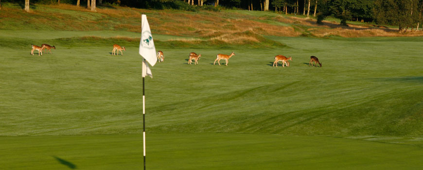  Ashridge Golf Club