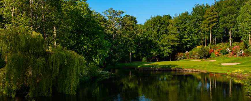 Druids Glen Resort