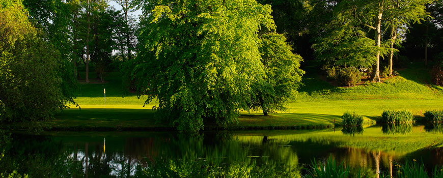 Druids Glen Resort