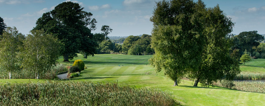Faithlegg House Hotel and Golf Resort