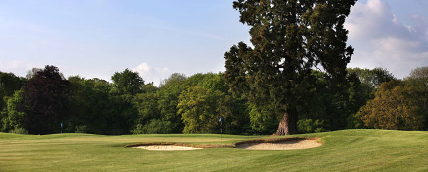 Manor Course Course at Aldwickbury Park Golf Club Image
