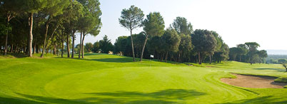 TorreMirona Golf & Spa Resort, Grupo ALZE