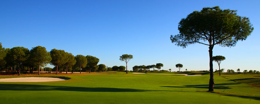 La Monacilla Golf Club, Grupo ALZE at La Monacilla Golf Club Grupo ALZE