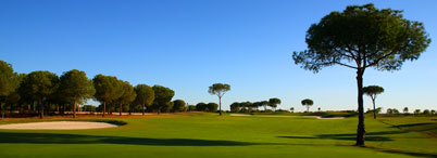 La Monacilla Golf Club, Grupo ALZE