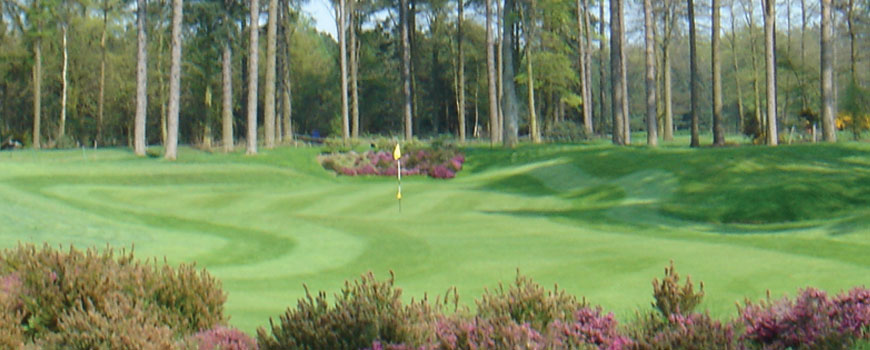 Pines and Beeches Course at Q Hotels Forest Pines Hotel and Golf Resort Image