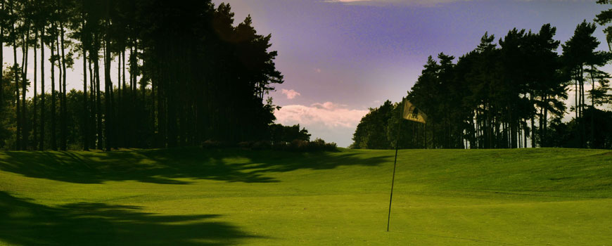 Forest and Beeches Course at Q Hotels Forest Pines Hotel and Golf Resort Image