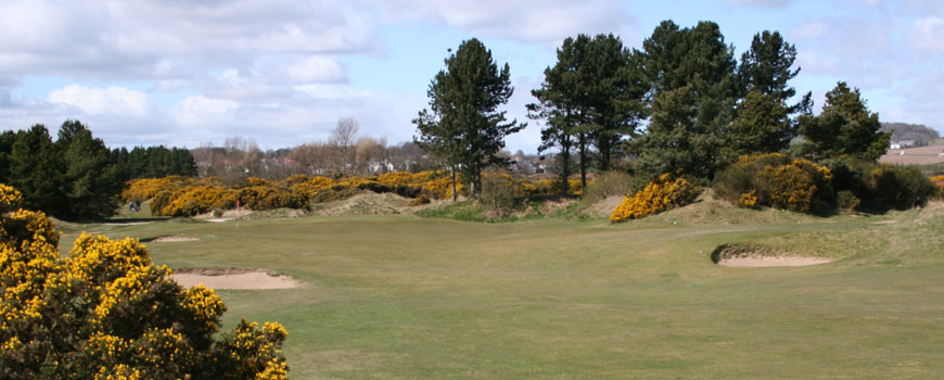 The Ashludie Course Course at Monifieth Golf Links Image