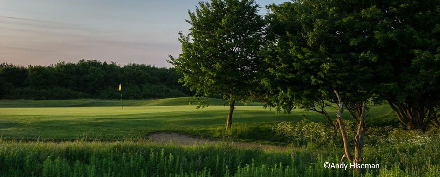 Park Course Course at Cams Hall Estate Golf Club Image