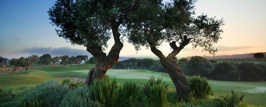 Costa Navarino