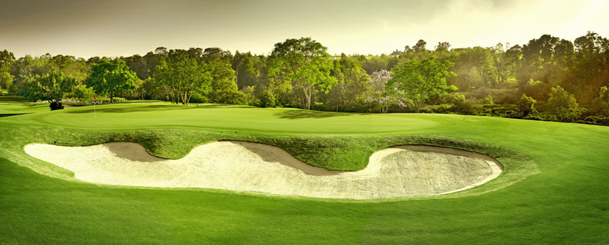 Montagu Course at Fancourt Image