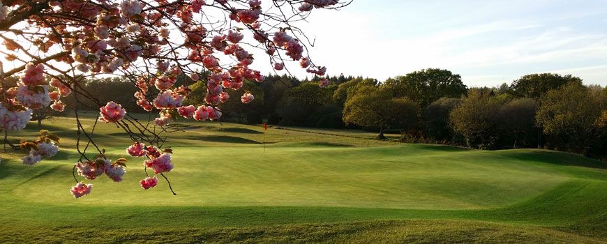 Lakeland and Woodland Course at The Dorset Golf Country Club and Resort Image