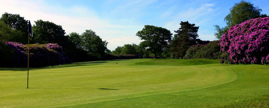 Lakeland and Woodland Course at The Dorset Golf Country Club and Resort Image