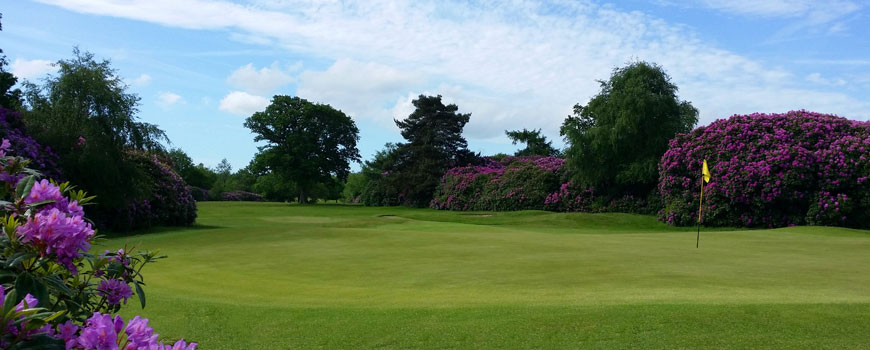 Lakeland and Woodland Course at The Dorset Golf Country Club and Resort Image