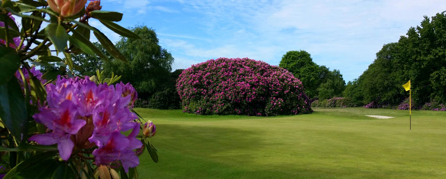 Lakeland and Woodland Course at The Dorset Golf Country Club and Resort Image