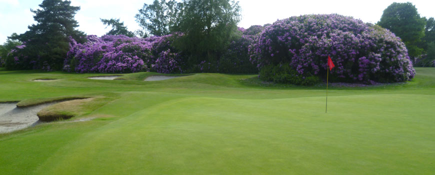 Lakeland and Woodland Course at The Dorset Golf Country Club and Resort Image