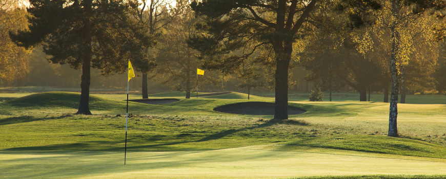 Ladybank Golf Club
