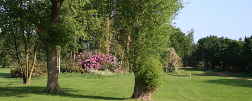 Green Course Course at Frilford Heath Golf Club Image