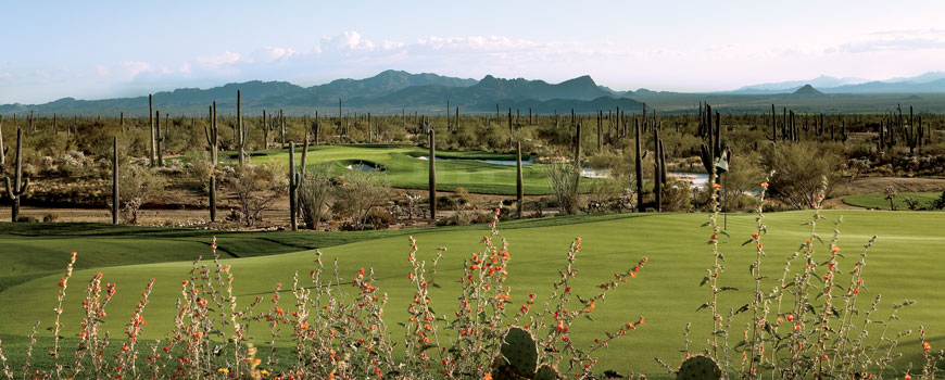  The Golf Club at Dove Mountain  at  The Ritz-Carlton, Dove Mountain