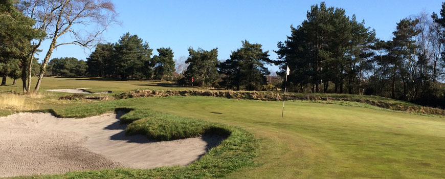 Alliss Course Course at Ferndown Golf Club Image