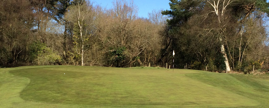 Alliss Course Course at Ferndown Golf Club Image