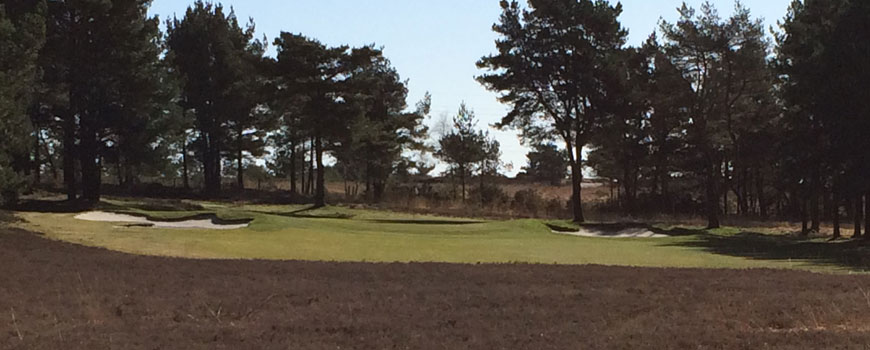 Alliss Course Course at Ferndown Golf Club Image
