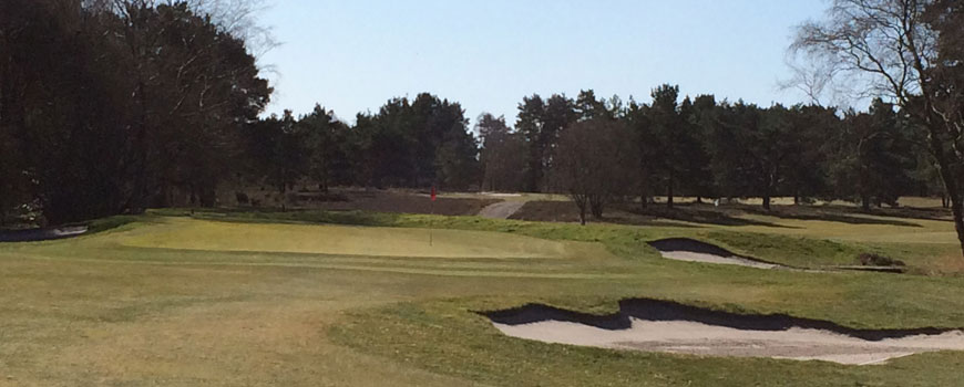 Alliss Course Course at Ferndown Golf Club Image