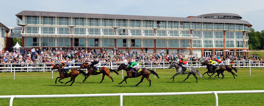 Images for golf breaks at  Lingfield Park Marriott Hotel and Country Club 