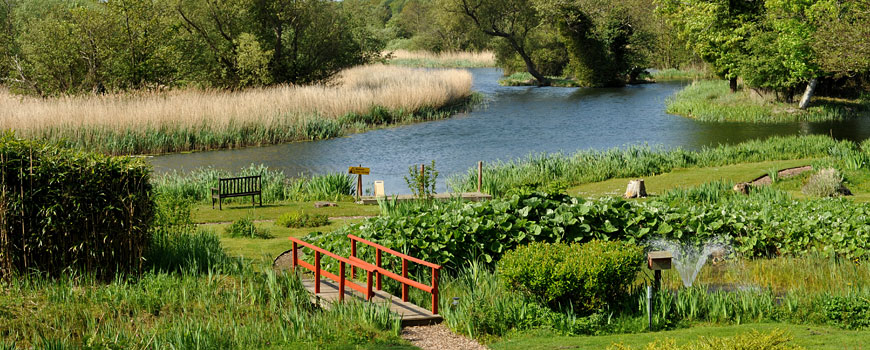 Images for golf breaks at  Thorpeness Golf Club and Hotel 